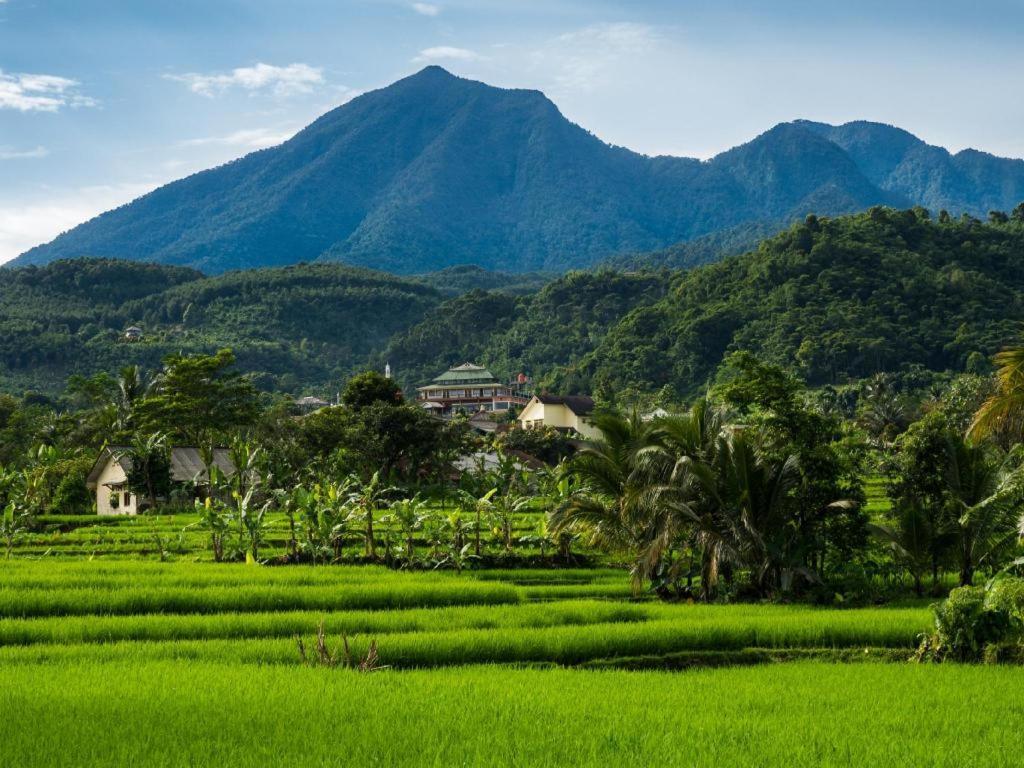 โรงแรมดานายา โบกอร์ ภายนอก รูปภาพ